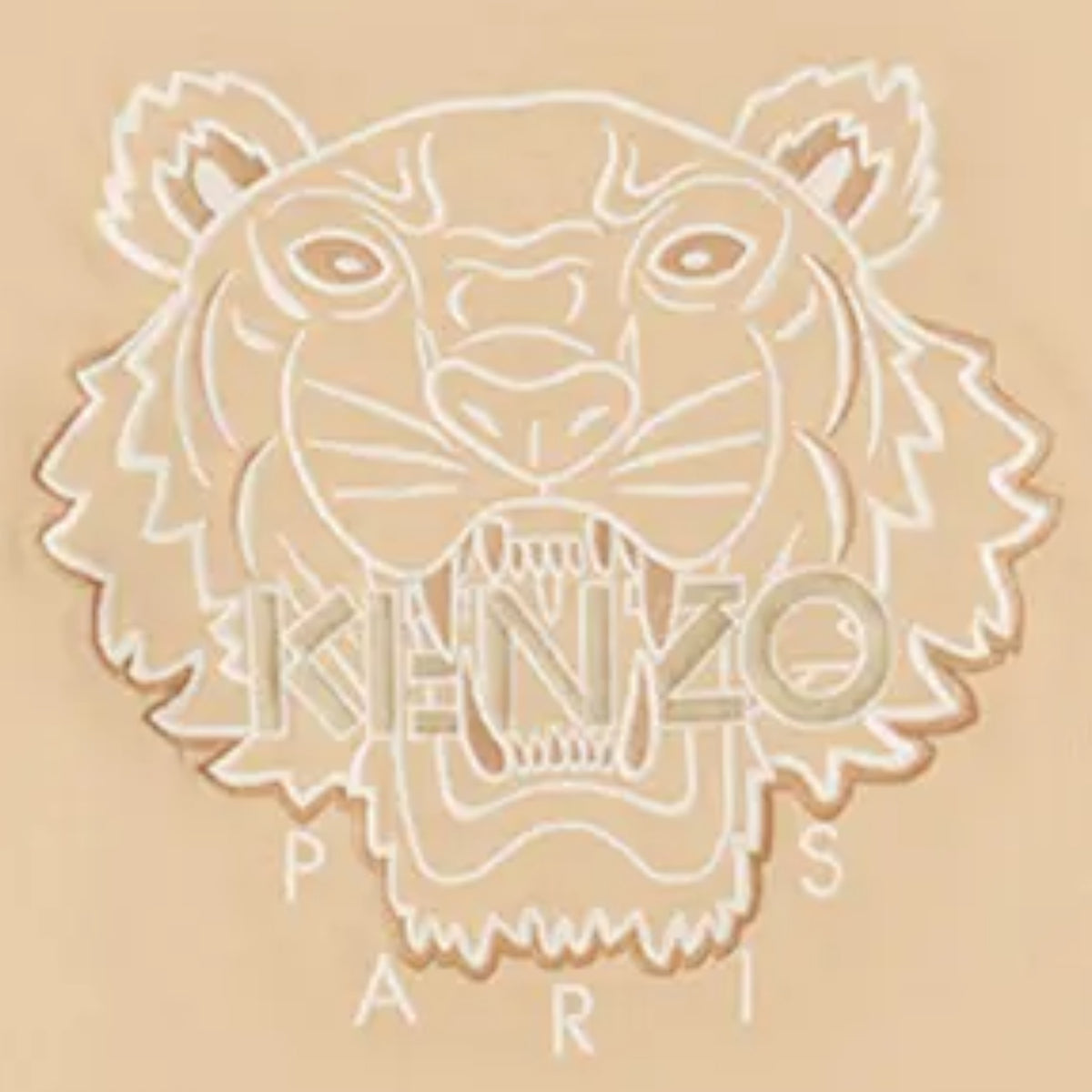 Kenzo Men's Tiger Seasonal Embroidered Skate T-Shirt