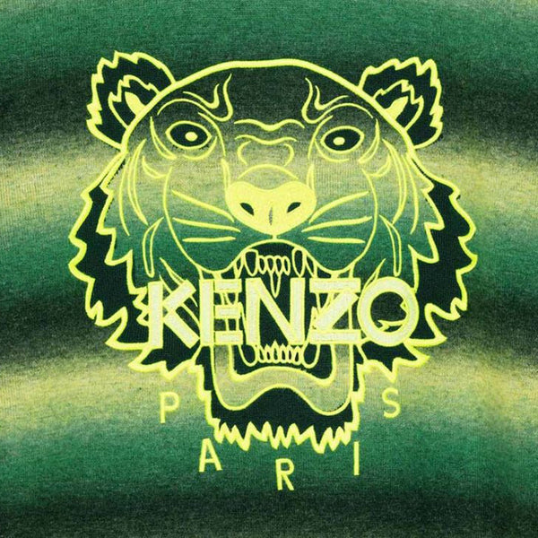 Kenzo Men's Tiger Striped Jumper